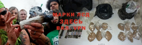 спиды Волосово