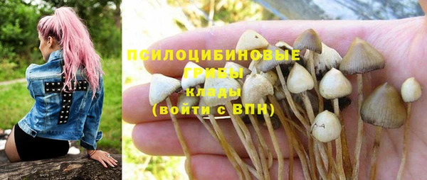 ПСИЛОЦИБИНОВЫЕ ГРИБЫ Володарск