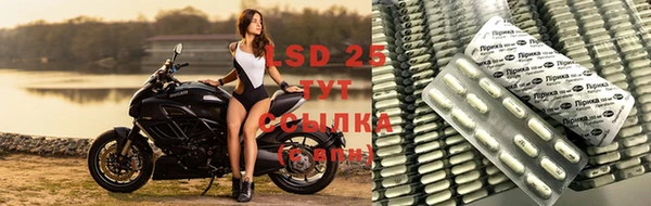 спиды Волосово
